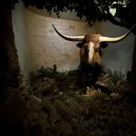 2023OTRA_575 (May 05, 2023)